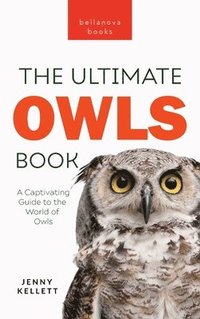 bokomslag Owls The Ultimate Book