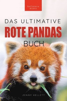 bokomslag Rote Pandas Das Ultimative Buch