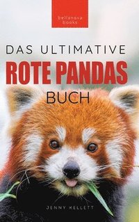 bokomslag Rote Pandas Das Ultimative Buch