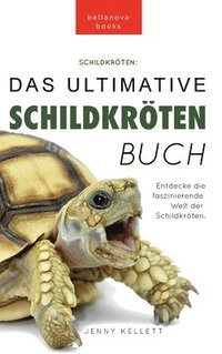 bokomslag Schildkröten Das ultimative Schildkrötenbuch