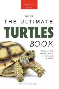 bokomslag Turtles The Ultimate Turtles Book