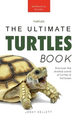 bokomslag Turtles The Ultimate Turtles Book