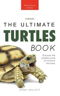 bokomslag Turtles The Ultimate Turtles Book