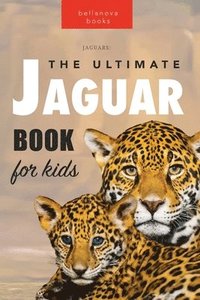 bokomslag Jaguars The Ultimate Jaguar Book for Kids