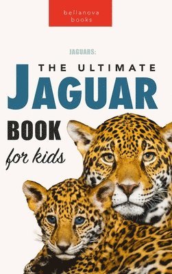 bokomslag Jaguars The Ultimate Jaguar Book for Kids