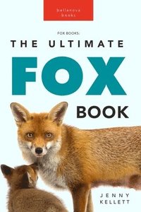 bokomslag Foxes The Ultimate Fox Book