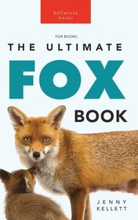 bokomslag Foxes The Ultimate Fox Book for Kids