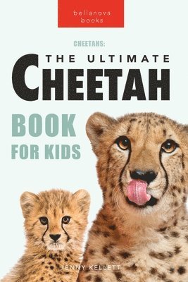 Cheetahs The Ultimate Cheetah Book for Kids 1