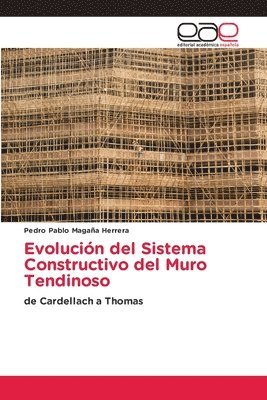 Evolución del Sistema Constructivo del Muro Tendinoso