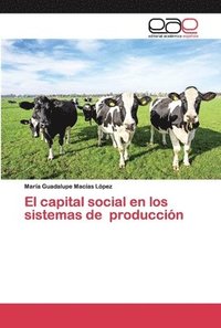 bokomslag El capital social en los sistemas de produccin