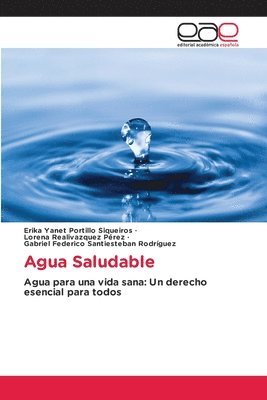 bokomslag Agua Saludable