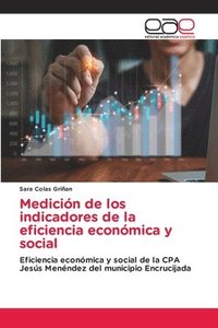 bokomslag Medición de los indicadores de la eficiencia económica y social