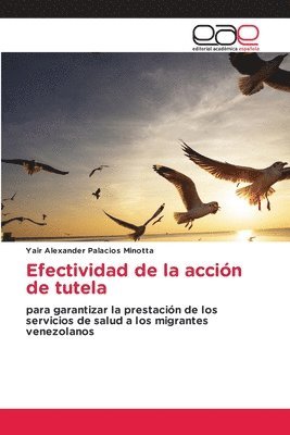 bokomslag Efectividad de la acción de tutela