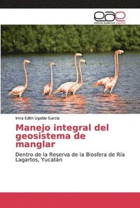 bokomslag Manejo integral del geosistema de manglar