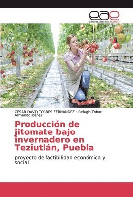 bokomslag Produccin de jitomate bajo invernadero en Teziutln, Puebla