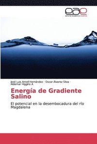 bokomslag Energa de Gradiente Salino