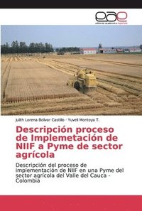 bokomslag Descripcion proceso de Implemetacion de NIIF a Pyme de sector agricola