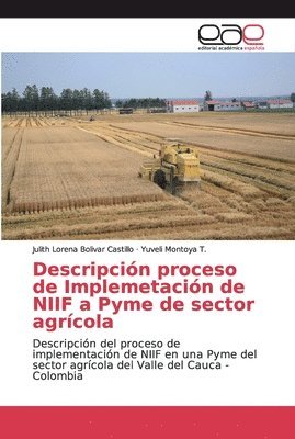 Descripcion proceso de Implemetacion de NIIF a Pyme de sector agricola 1