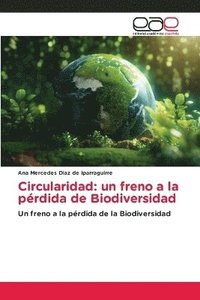 bokomslag Circularidad