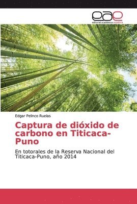 Captura de dioxido de carbono en Titicaca-Puno 1