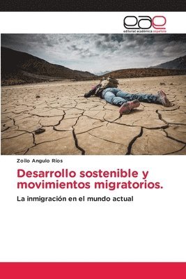 bokomslag Desarrollo sostenible y movimientos migratorios.