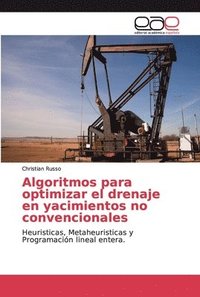 bokomslag Algoritmos para optimizar el drenaje en yacimientos no convencionales