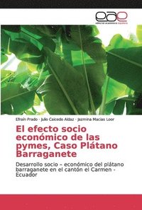 bokomslag El efecto socio economico de las pymes, Caso Platano Barraganete