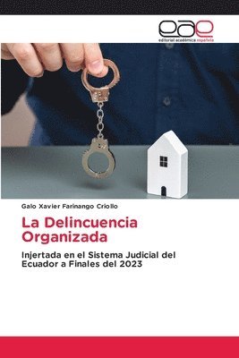 bokomslag Delincuencia Organizada