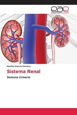 bokomslag Sistema Renal