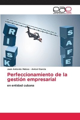 bokomslag Perfeccionamiento de la gestión empresarial