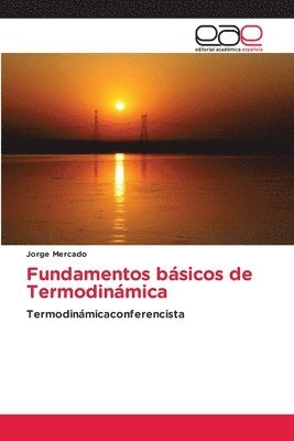 bokomslag Fundamentos bsicos de Termodinmica