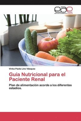 bokomslag Gua Nutricional para el Paciente Renal