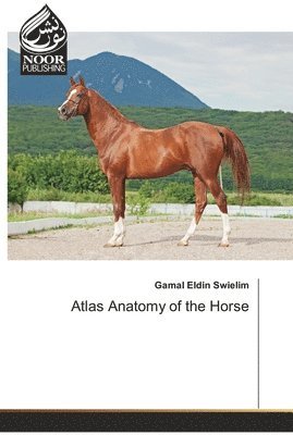 bokomslag Atlas Anatomy of the Horse