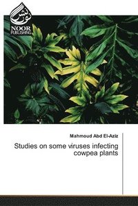 bokomslag Studies on some viruses infecting cowpea plants