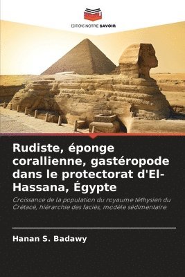 Rudiste, éponge corallienne, gastéropode dans le protectorat d'El-Hassana, Égypte
