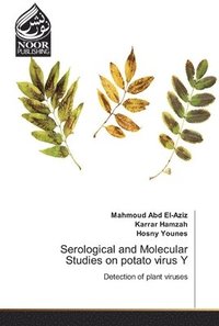bokomslag Serological and Molecular Studies on potato virus Y