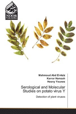 Serological and Molecular Studies on potato virus Y 1