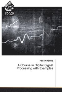 bokomslag A Course in Digital Signal Processing with Examples