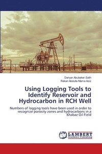 bokomslag Using Logging Tools to Identify Reservoir and Hydrocarbon in RCH Well