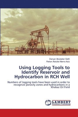 Using Logging Tools to Identify Reservoir and Hydrocarbon in RCH Well 1