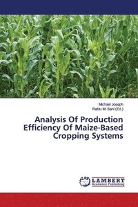 bokomslag Analysis Of Production Efficiency Of Maize-Based Cropping Systems