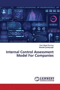 bokomslag Internal Control Assessment Model For Companies