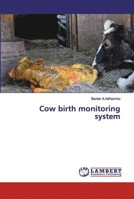 Cow birth monitoring system 1