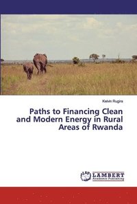 bokomslag Paths to Financing Clean and Modern Energy in Rural Areas of Rwanda