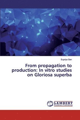 From propagation to production 1