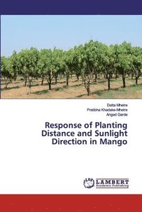 bokomslag Response of Planting Distance and Sunlight Direction in Mango