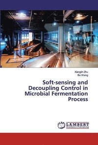 bokomslag Soft-sensing and Decoupling Control in Microbial Fermentation Process