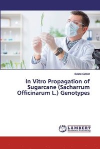 bokomslag In Vitro Propagation of Sugarcane (Sacharrum Officinarum L.) Genotypes