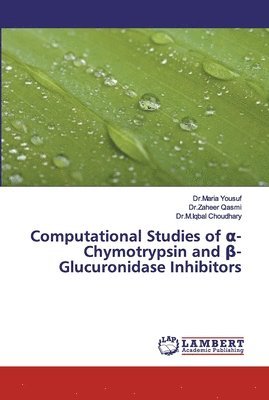 bokomslag Computational Studies of &#945;-Chymotrypsin and &#946;-Glucuronidase Inhibitors