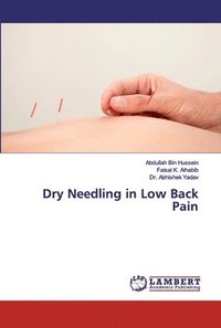 bokomslag Dry Needling in Low Back Pain